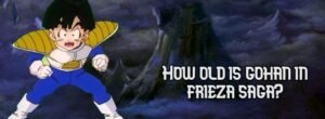 How old is gohan in frieza saga