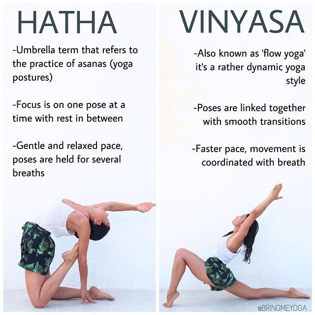 hatha vs vinyasa