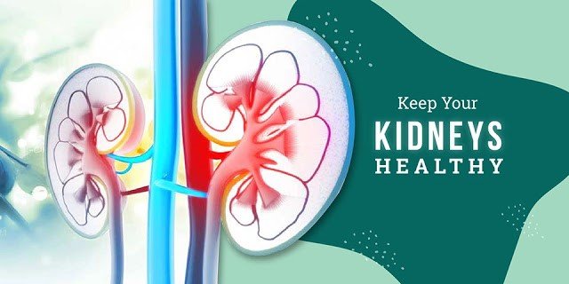 Diet Tips To Keep Your Kidneys Healthy