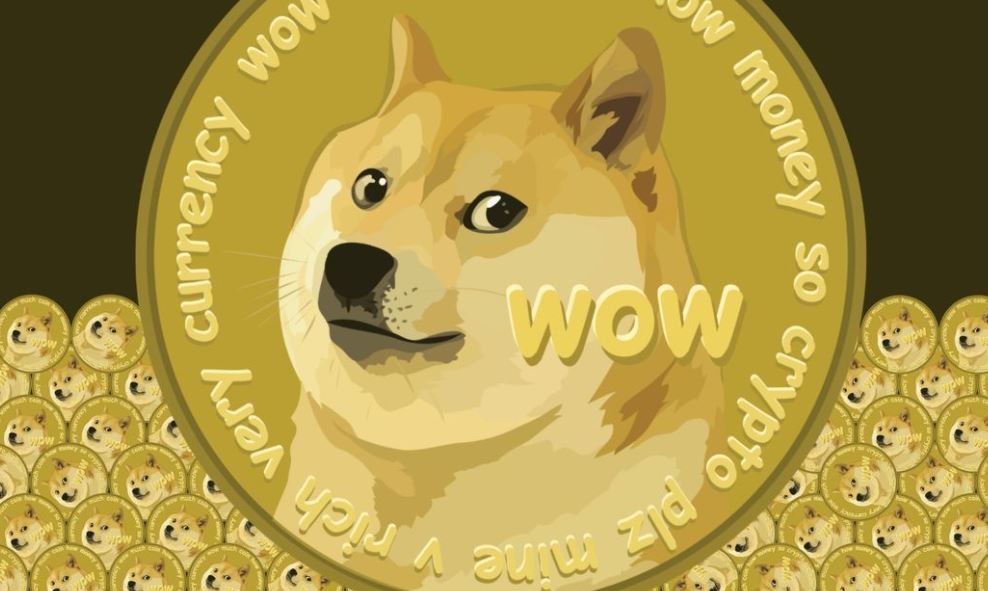 know about Doge